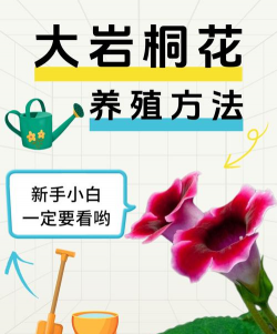 小众送妈妈的花有哪些花