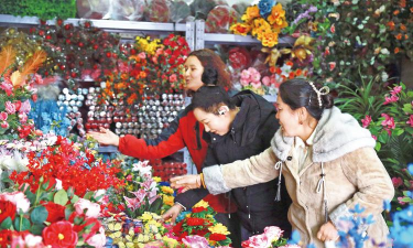 春节买花有哪些花