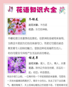 小众送妈妈的花有哪些花