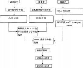 小众送妈妈的花有哪些花