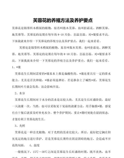 小众送妈妈的花有哪些花