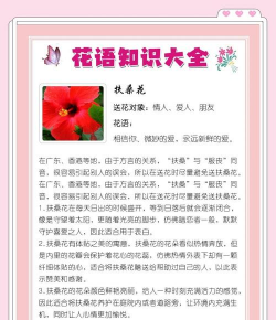 小众送妈妈的花有哪些花