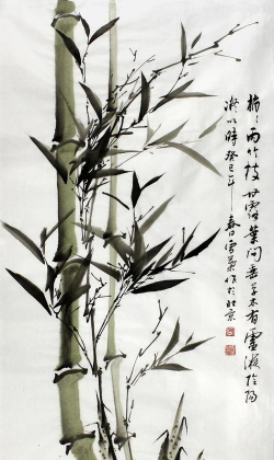 什么竹子左右长侧枝