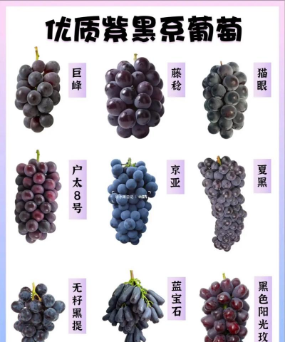 小众送妈妈的花有哪些花