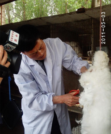 小众送妈妈的花有哪些花