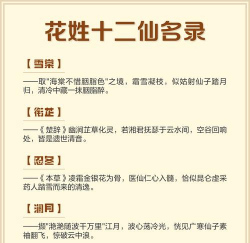 小众送妈妈的花有哪些花