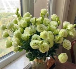 小众送妈妈的花有哪些花