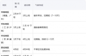 小众送妈妈的花有哪些花