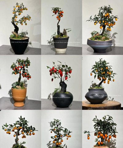 小众送妈妈的花有哪些花