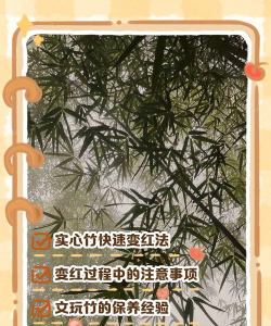 竹子变红窍门