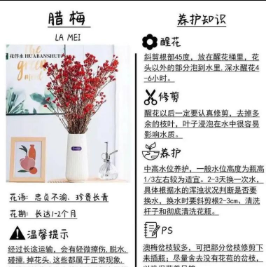 栎树怎么种植技术