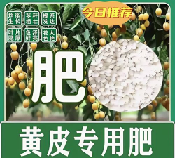 黄皮果树施什么肥