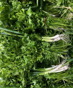 小众送妈妈的花有哪些花