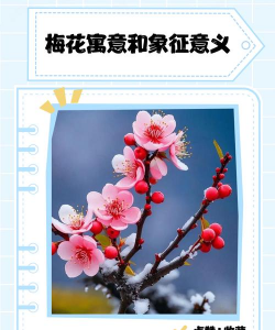 小众送妈妈的花有哪些花