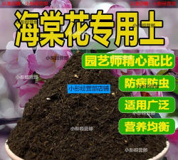 小众送妈妈的花有哪些花