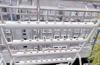 管道式阳台种植怎么做的