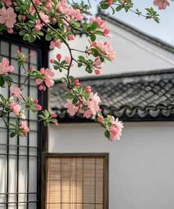 小众送妈妈的花有哪些花