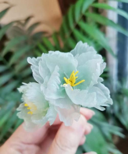 小众送妈妈的花有哪些花