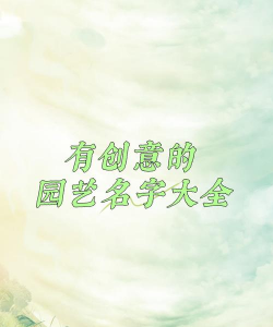 小众送妈妈的花有哪些花