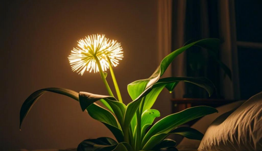 小众送妈妈的花有哪些花