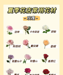 小众送妈妈的花有哪些花