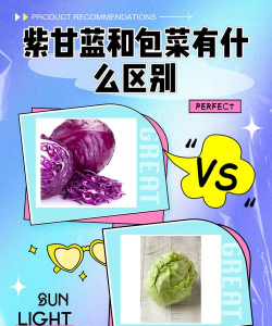紫甘蓝是紫包菜吗