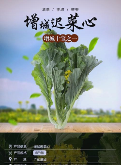 增城迟菜心种植时间和方法