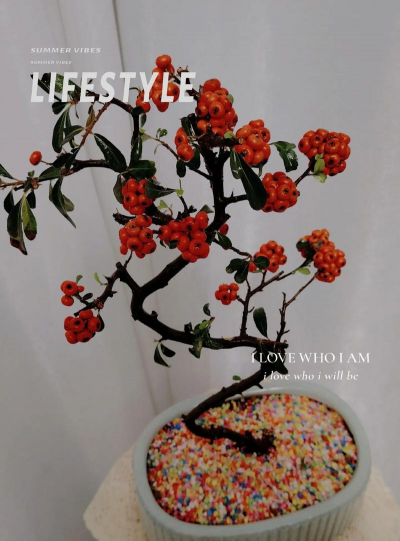 小众送妈妈的花有哪些花