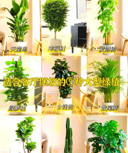 小众送妈妈的花有哪些花