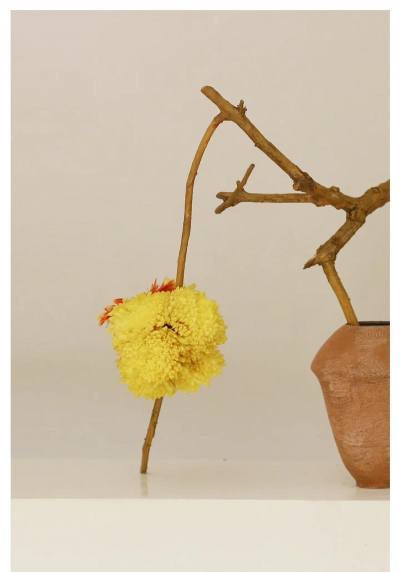 小众送妈妈的花有哪些花