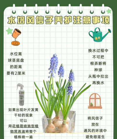 小众送妈妈的花有哪些花
