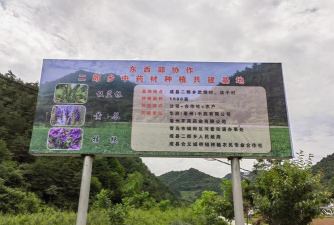 中草药种植园名字怎么起