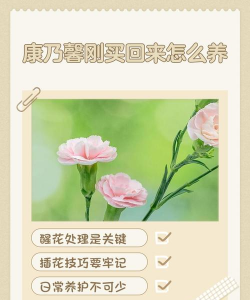 小众送妈妈的花有哪些花