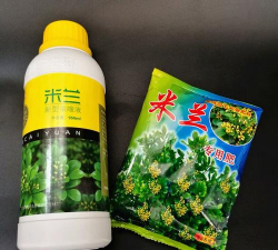 小众送妈妈的花有哪些花