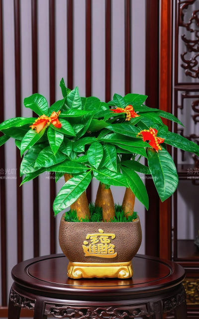 小众送妈妈的花有哪些花