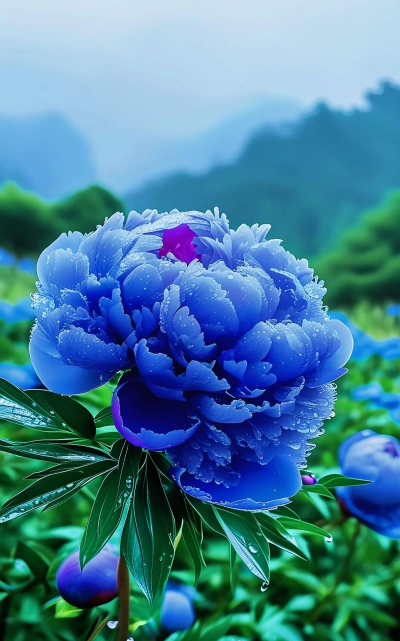 小众送妈妈的花有哪些花