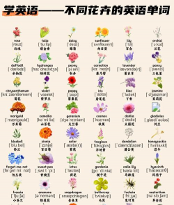 小众送妈妈的花有哪些花