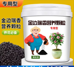 小众送妈妈的花有哪些花