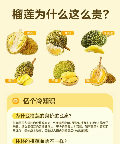 榴莲为什么那么贵
