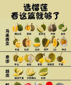 榴莲有哪些品种