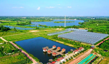 海鸿源种植业前景怎么样