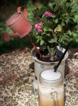 什么植物浇牛奶好