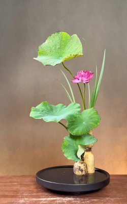 小众送妈妈的花有哪些花