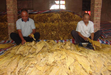 小众送妈妈的花有哪些花