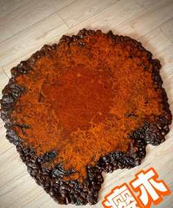 小众送妈妈的花有哪些花