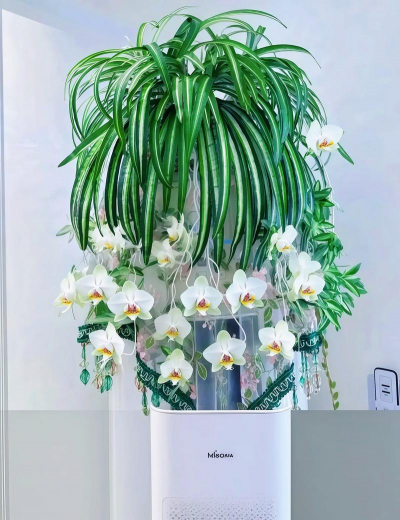 小众送妈妈的花有哪些花