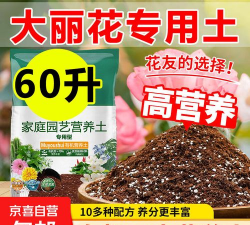 小众送妈妈的花有哪些花