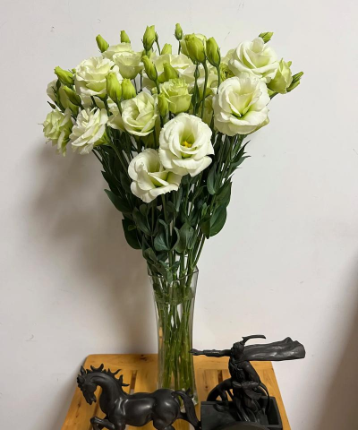 小众送妈妈的花有哪些花