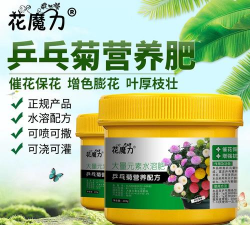 小众送妈妈的花有哪些花