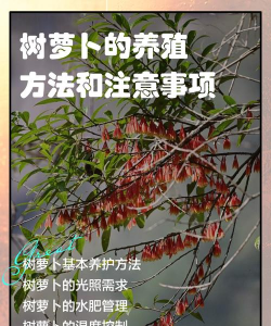 小众送妈妈的花有哪些花